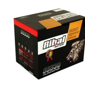 باتری ۵۵ آمپر ریبال